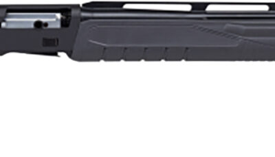 Savage Arms 57603 Renegauge Field 12 Gauge 3" 4+1 26" Barrel, Matte Black Receiver, Matte Gray Monte Carlo Adjustable Comb Stock