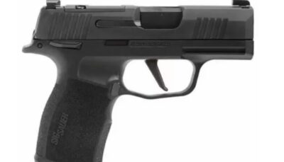 SIG SAUER P365X 9MM 3.1" 10+1 NS SAFETY