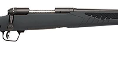 Savage Arms 57061 110 Hunter 223 Rem 4+1 22", Matte Black Metal, Gray Fixed AccuStock with Accufit