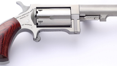 NORTH AMERICAN ARMS SIDEWINDER 22MAG 2.5" SS