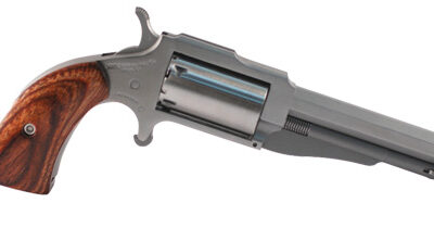 NORTH AMERICAN ARMS THE EARL 22LR/22MAG 3" SS 5SH