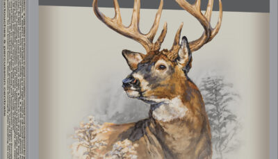 Winchester Ammo X3582 Power-Point 358Win 200gr 20 Per Box/10 Case