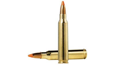 Norma Ammunition 20157352 Dedicated Hunting Varmint 223Rem 55gr Polymer Tip 20 Per Box/10 Case