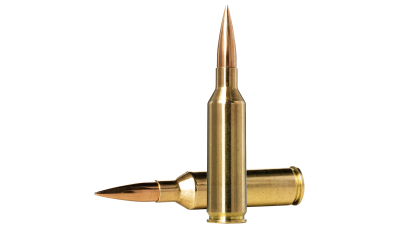 Norma Ammunition 10166462 Dedicated Precision Golden Target Match 6.5PRC 143gr Hollow Point Boat Tail 20 Per Box/10 Case