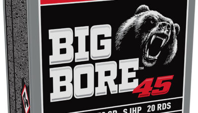 Winchester Ammo X45CBB Big Bore  45Colt 250gr Semi Jacketed Hollow Point 20 Per Box/10 Case