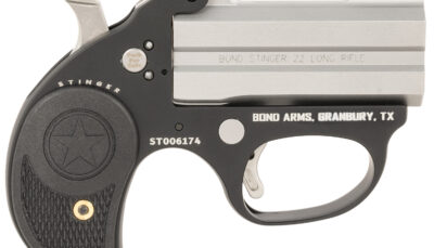 Bond Arms BASL Stinger 22 LR 2rd, 3" Double Stainless Steel Barrel