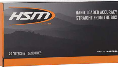 HSM 457015N 45-70Gov 300gr Jacketed Hollow Point 20 Per Box/25 Case