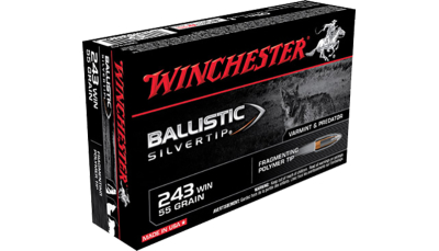 Winchester Ammo SBST243 Ballistic Silvertip  243Win 55gr Fragmenting Polymer Tip 20 Per Box/10 Case