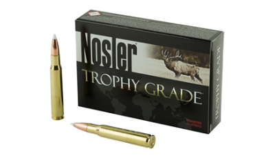 NOSLER 30-06 165GR AB 20/200