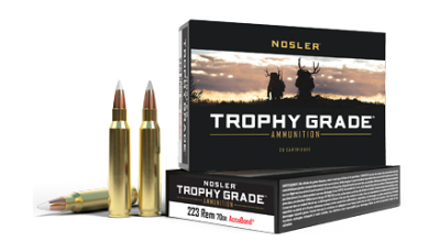 NOSLER TG 223REM 70GR AB 20/200