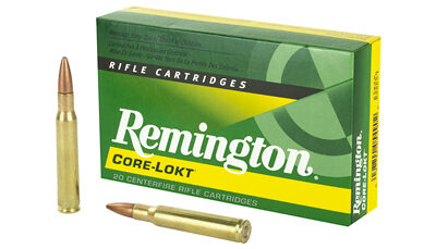 REM 3006 180GR PSP CL 20/200