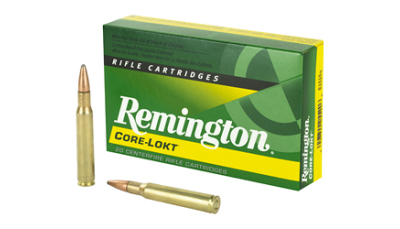 REM 3006 165GR PSP CL 20/200