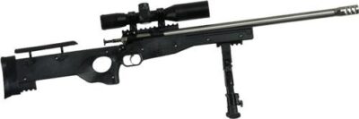 Crickett 22 LR Precision Rifle Black Package Stainless .22 LR Single Shot 16 1/8" Barrel