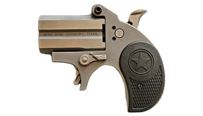 BOND STUBBY 22LR 2.2" STS NO TG BLK