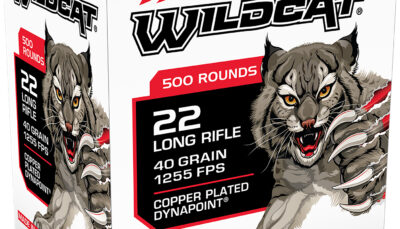 Winchester Ammo WW22LRB Wildcat  22LR 40gr Copper Plated DynaPoint 500 Per Box/10 Case *Bulk