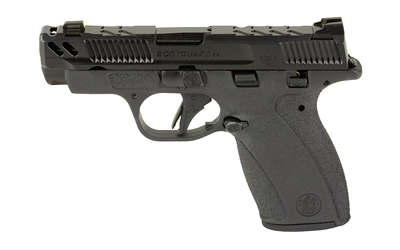 S&W PC BDYGRD 2.0 380ACP 3.1 10RD TS