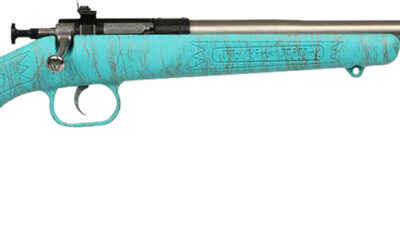 Crickett KSA2446 Gen2  Youth 22 LR 1rd 16.13" Stainless Single Shot Barrel, Stainless Steel Receiver, Blue w/Gold Webbing Fixed Synthetic Stock