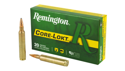 REM 300RUM 180GR CL 20/200
