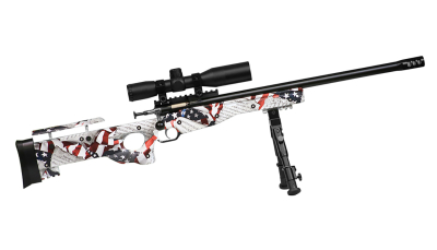 Crickett KSA2153 Precision Complete Package 22 LR 1rd 16.12" Blued American Flag & Amendment Fixed Thumbhole Stock Right Hand (Youth)