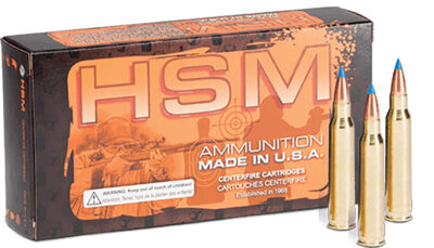 HSM 204R3N 204Ruger 32gr BlitzKing 20 Per Box/20 Case