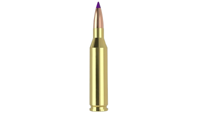 Nosler 40041   243Win 70gr Ballistic Tip Varmint 20 Per Box/10 Case