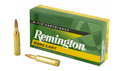 REM 6MM REM 100GR PSP CL 20/200