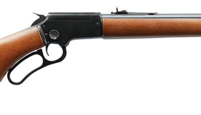 Chiappa Firearms 920414 LA322 Carbine Takedown 22 LR 15+1 18.50", Blued Barrel/Rec, Pistol Grip Style Stock, Adj. Sights, Dovetail Base