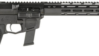 Wilson Combat TRAR9GB91610 AR9G Carbine 9mm Luger 17+1 16" Black Match Grade Threaded Barrel, Black Armor-Tuff Aluminum Receiver, M-LOK Handguard, Black Synthetic Rogers Super-Stoc w/Cam-Lock Stock