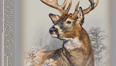 Winchester Ammo X325WSM Power-Point  325WSM 220gr 20 Per Box/10 Case