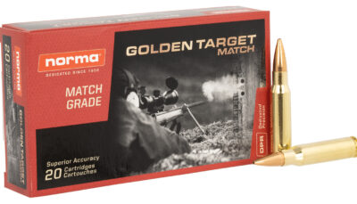 Norma Ammunition 10177432 Dedicated Precision Golden Target Match 308Win 168gr BTHP 20 Per Box/10 Case