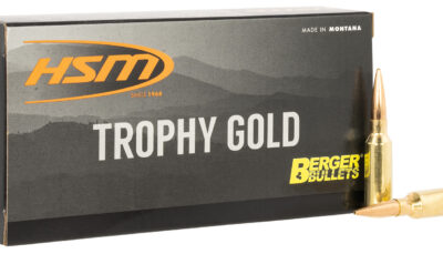HSM 6ARC95VLD Trophy Gold Extended Range 6mm ARC 95 gr 20 Per Box/ 25 Case