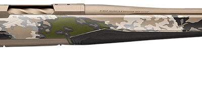 BRN 036006229 XB2 SPEED 300 26 OVIX/SB