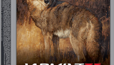 Winchester Ammo X243PXP Varmint X  243Win 65gr Extreme Point 20 Per Box/10 Case