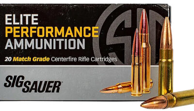 Sig Sauer T300BLK110TTX2 TAC-TX  300Blackout 110gr 20 Per Box/10 Case