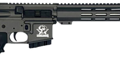 Great Lakes Firearms GL15400SSTNG AR-15 400 Legend 5+1 16" Stainless Threaded Barrel, Tungsten Cerakote Picatinny Rail Aluminum Receiver, Adjustable Black Synthetic Stock, Mil-spec Polymer Grip