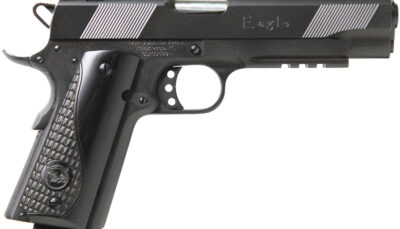 Iver Johnson Arms EAGLELR Eagle LR Government Size 45 ACP 8+1 5" Matte Blued