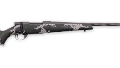 WTHBY VTE300WR6B VGD TALON 300 WBY 24TB