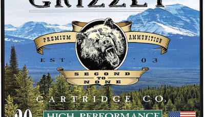 Grizzly Ammo GCSUB1   45-70Gov 410gr Full Metal Jacket Flat Point 20 Per Box/10 Case