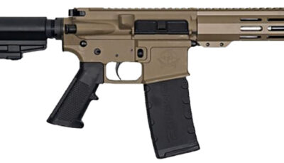 Great Lakes Firearms GL15223SSPB FDE/SS   223 Wylde 7.50"