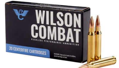 Wilson Combat A22369HPBT   223Rem 69gr Hollow Point Boat Tail Match 20 Per Box/10 Case