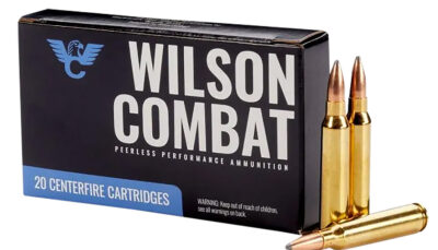 Wilson Combat A22365SBT   223Rem 65gr Sierra GameKing Spitzer Boat Tail 20 Per Box/10 Case