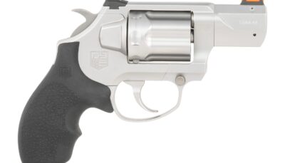 DIA DB0700P711  SDR 9MM       2" 6R  SA/DA SS GLSS