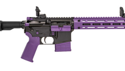 TIPPMANN A101222 M4-22 LTE 22LR 16"25+1 BLK