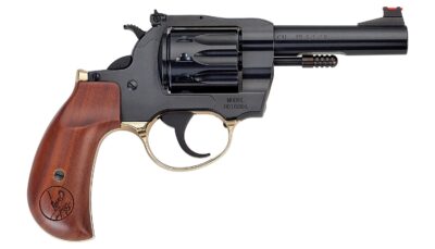 Henry H016BDA Golden Boy  22 S/L/LR 10 Shot 4" Blued Round Barrel, Blued Cylinder, Blued Polished Steel Frame, American Walnut Birdshead Grip, Exposed Hammer