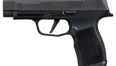 SIG 365XL380COMP        P365X 380 3.1 COMP    12R