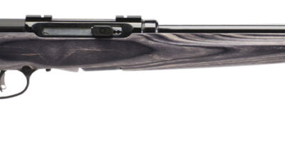 Savage Arms 47006 A17 Target Sporter Full Size 17 HMR 10+1 22" High Luster Heavy Target Barrel, High Luster Drilled & Tapped Carbon Steel Receiver, Satin Gray Fixed Laminate Stock, Right Hand