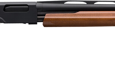 Winchester Repeating Arms 512266692 SXP Field 20 Gauge 5+1 3" 28" Back-Bored Vent Rib Barrel Matte Black Rec Satin Walnut Stock Right Hand (Full Size) Includes 3 Invector-Plush Chokes