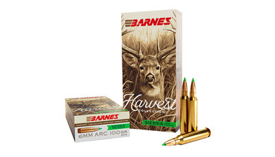 BARNES HARV ST 6MM ARC 100GR 20/200