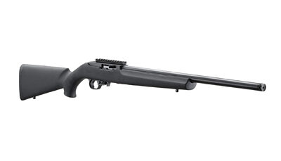 RUGER 10/22 20" TB HOGUE 10RD BLK