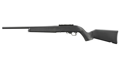 RUGER 10/22 22LR 18.5" 10RD SR BLK